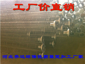鄒城濾袋袋籠|304不銹鋼袋籠廠家|河北優質除塵袋籠